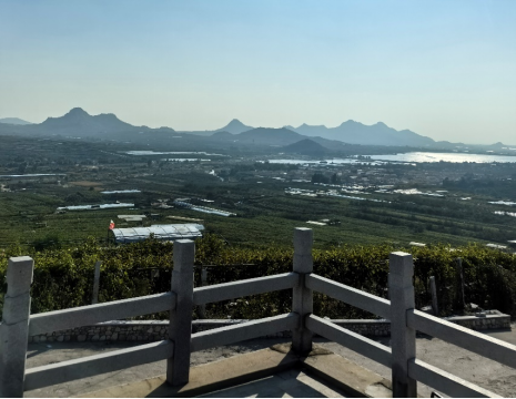 平度大澤山葡萄園引進(jìn)萊恩德土壤肥料檢測(cè)儀， 輕松掌握土壤營(yíng)養(yǎng)